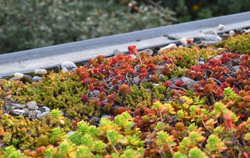 the cost of Calverleigh green roof installation