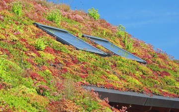 Calverleigh living roof systems